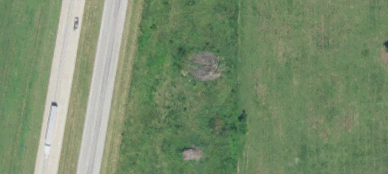 16233 Hwy 69th S