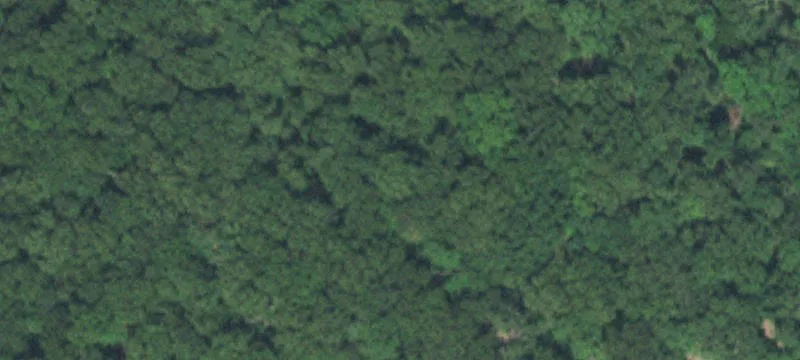 Locust Grove, OK 74352
