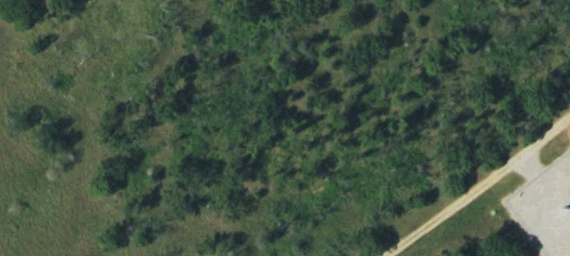 12912 State Hwy 99