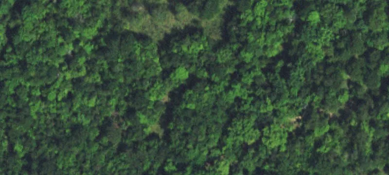 19058 Snake Crk Rd