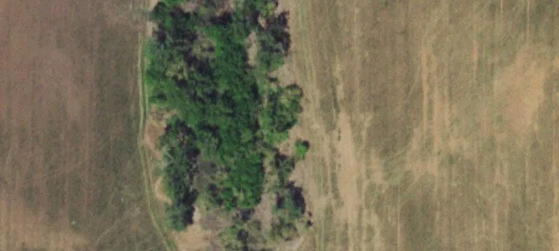16229 650th Rd