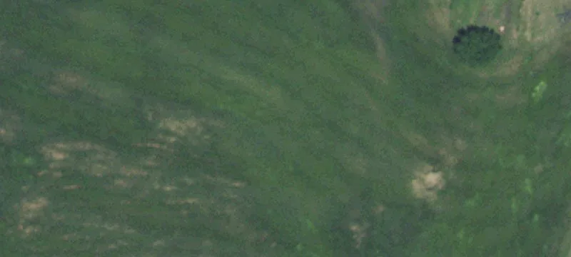 Merrick Dr