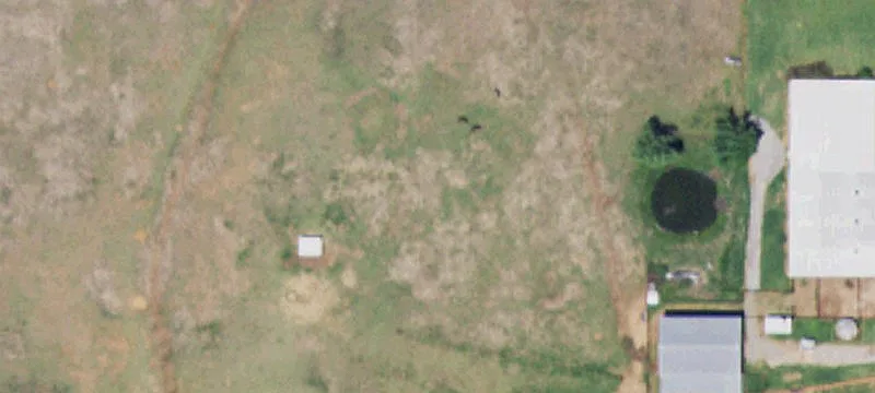 161493 Hwy 81