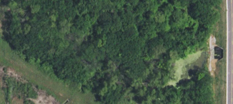 Merle Wolfe Rd