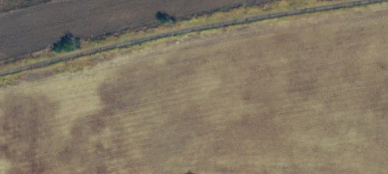 Lone Wolf, OK 73655