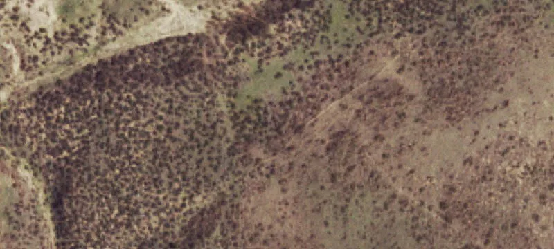 Turpin, OK 73950