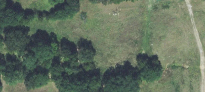 1095 Oak Ln