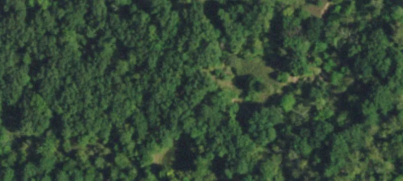 11990 Hwy 99