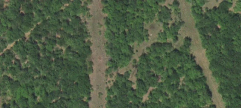 24491 State Hwy 76