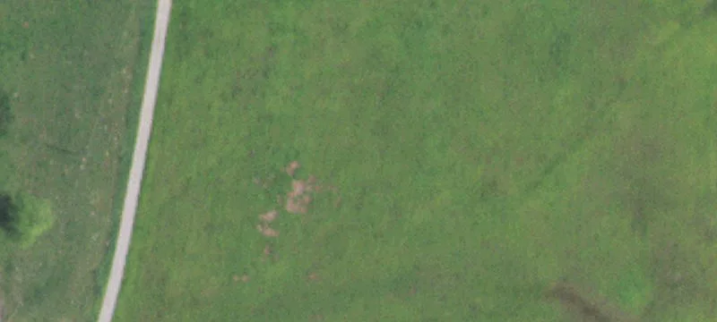 Mannsville, OK 73447