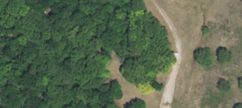 12467 Oswalt Rd