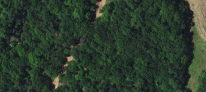 44501 County Rd 266