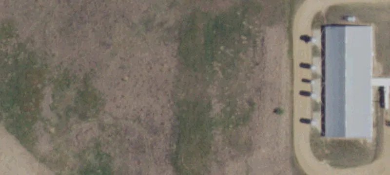 Forgan, OK 73938