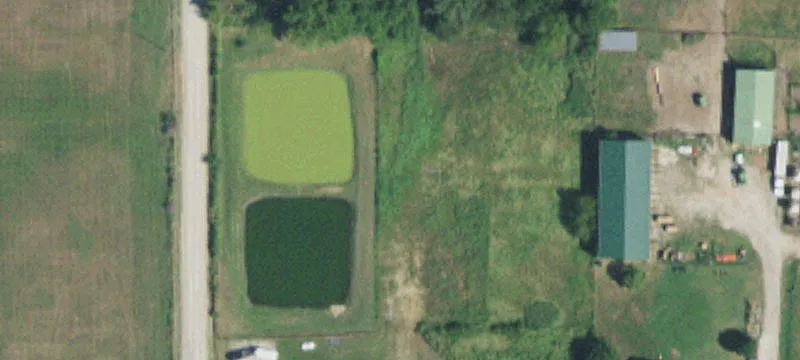 19974 Ns 411th Rd