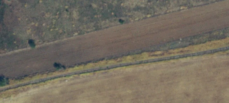 Lone Wolf, OK 73655
