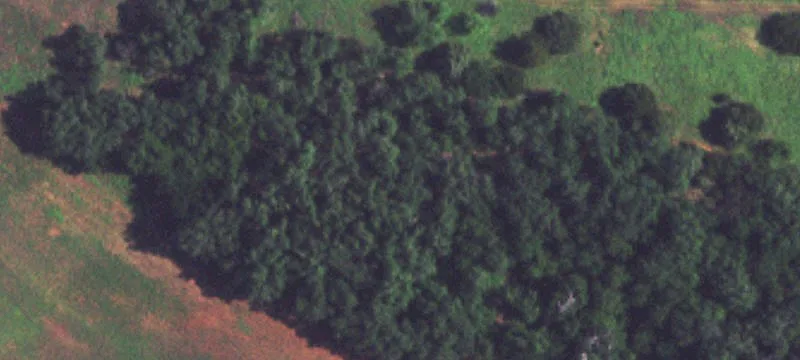 Leedey, OK 73654