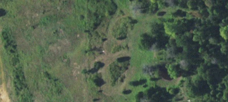 39355 Hwy 33