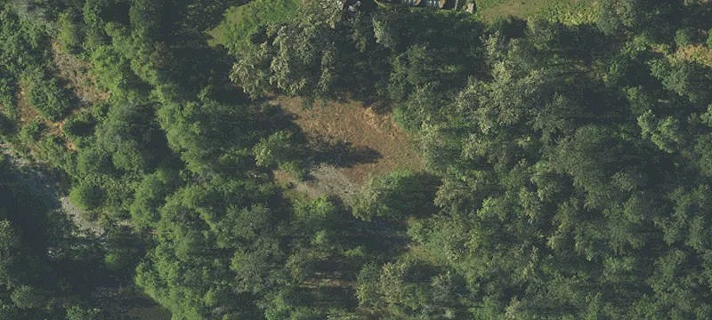 811 Placer Rd