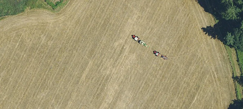 9030 Ft Hl Rd