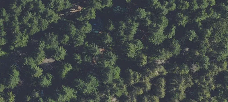 72681 Vlg Loop Rd