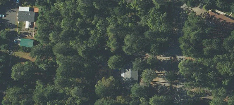 220 Williamson Loop