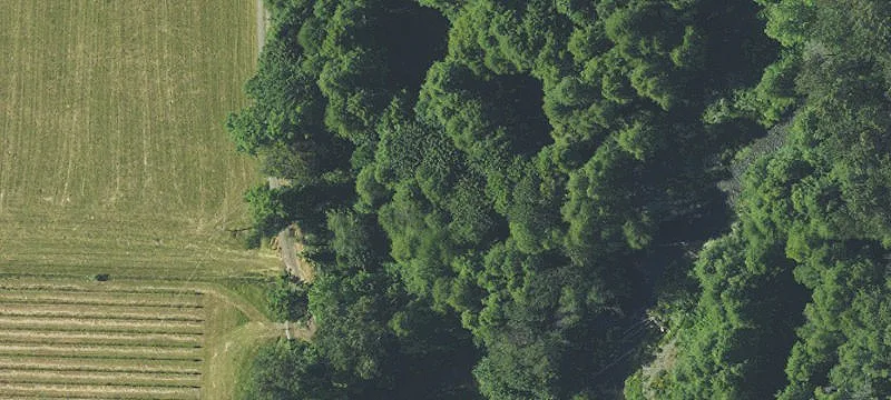 Williams Hwy