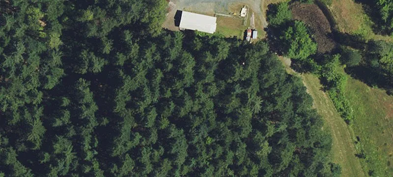 3305 Dick George Rd