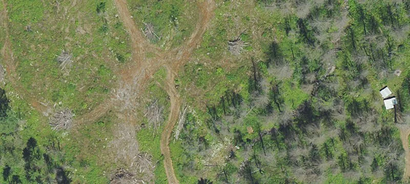 33259 Santiam Hwy