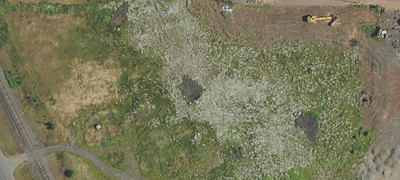 28637 Santiam Hwy