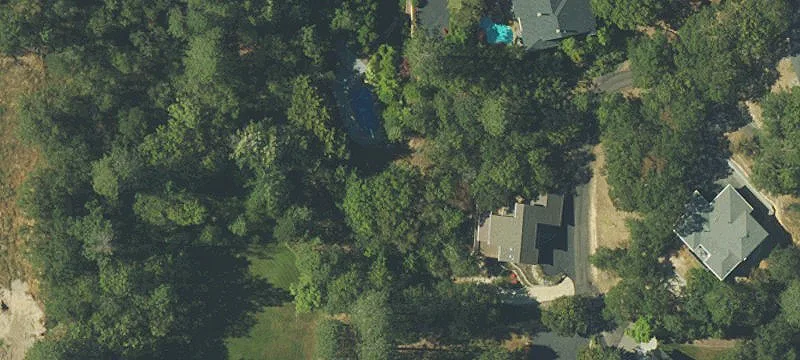 1624 Olmar Dr