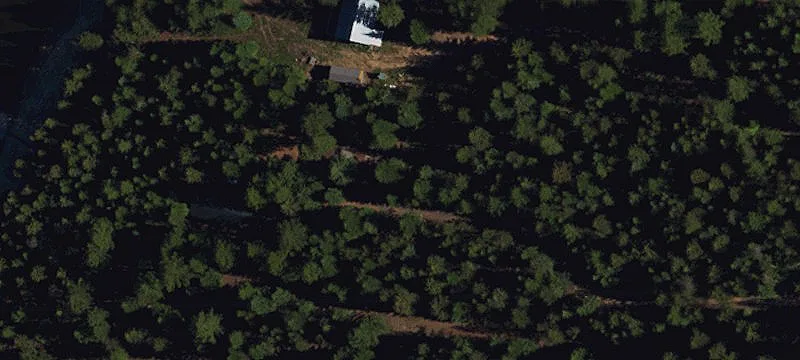 81431 Penland Ln