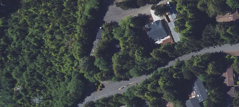 70 Beaver Tree Ln