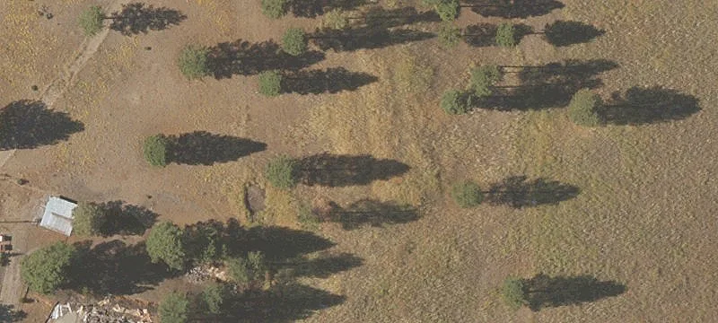 31747 Godowa Spgs Rd
