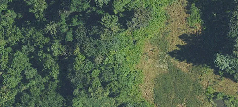 2412 Wynooski Rd