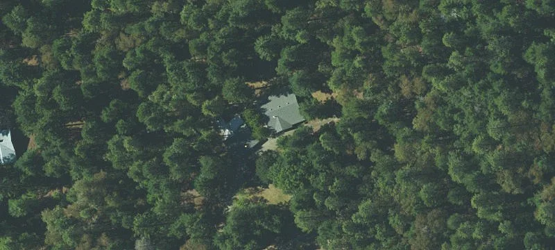 260 The Trees Dr