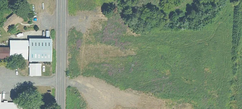 295 Frankton Rd
