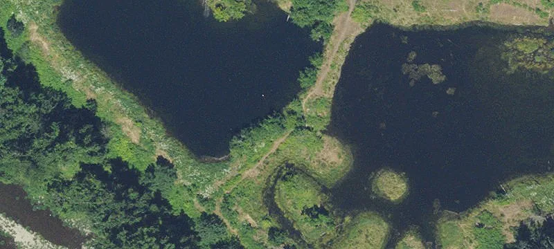 12000 Capps Rd