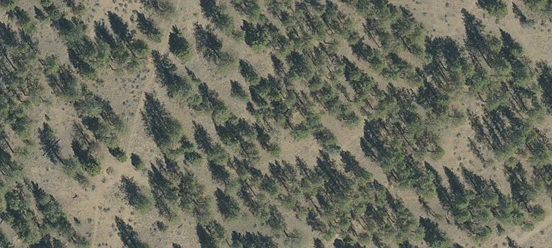 61021 Hwy 97