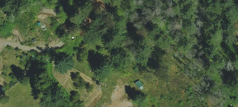 49243 Mckenzie Hwy