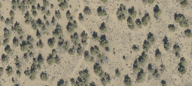 82261 Shot Gun Pass Ln