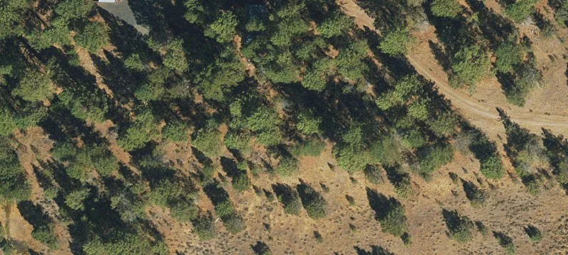 81182 Kb Rd