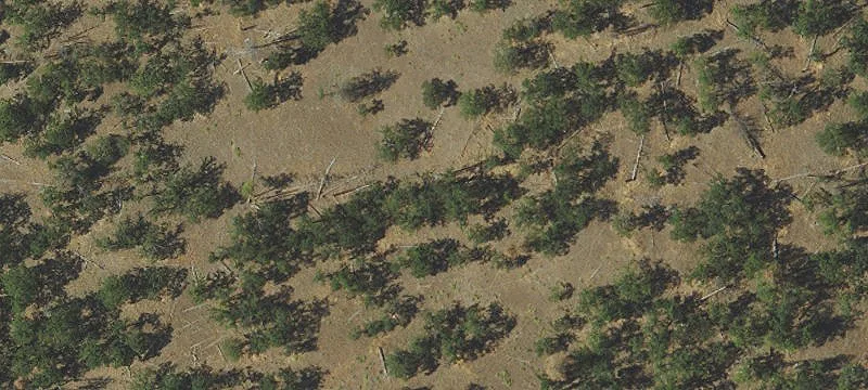 80161 Ridgetop Rd