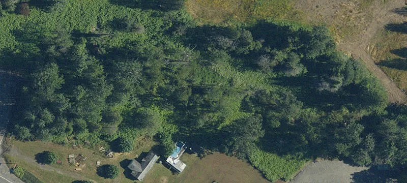 Oakridge, OR 97463