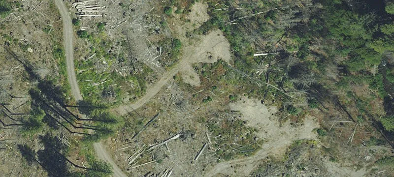 Detroit, OR 97342