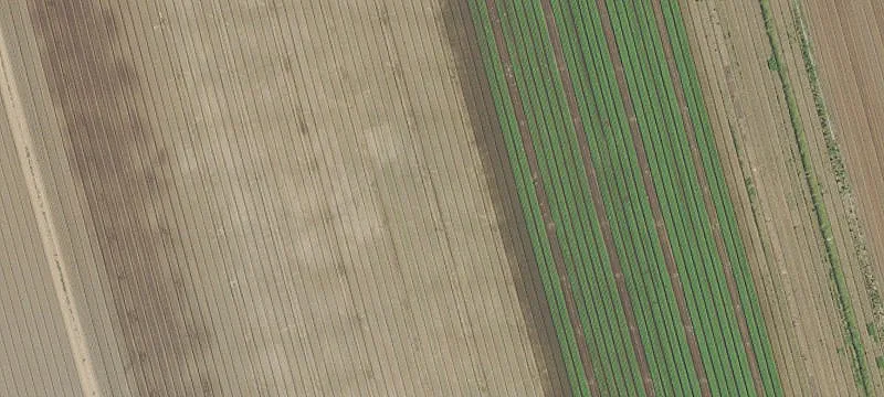 Aurora, OR 97002