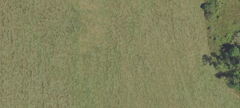 Lebanon, OR 97355