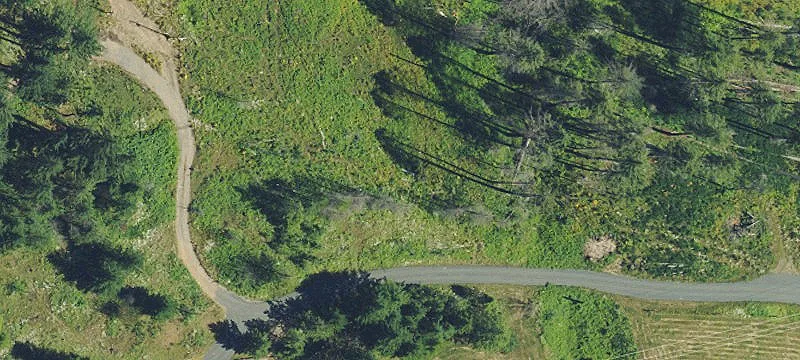 Gates, OR 97346