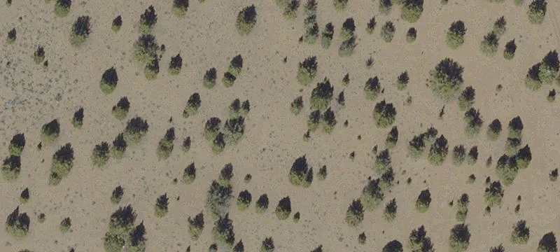 Silver Lake, OR 97638