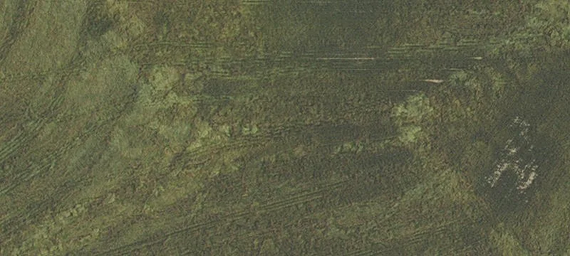 Beaverton, OR 97006