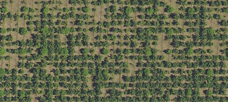 Sherwood, OR 97140